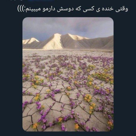  عکس خنده