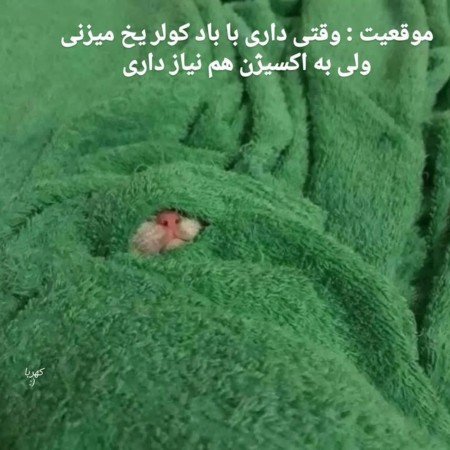  عکس خنده