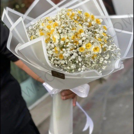  عکس گل نرگس