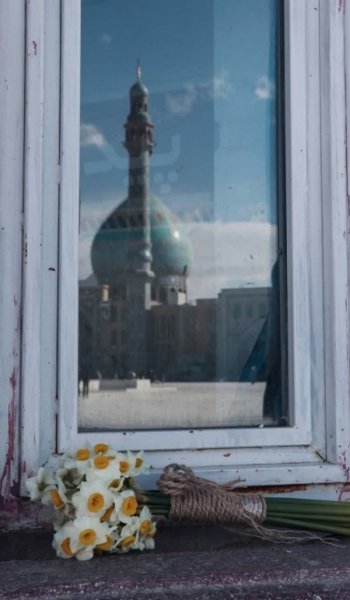  عکس گل نرگس