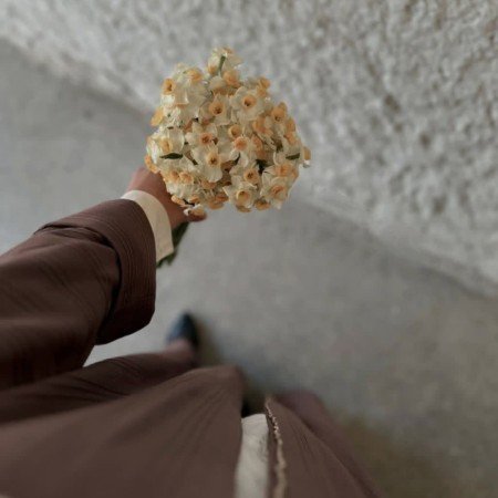  عکس گل نرگس