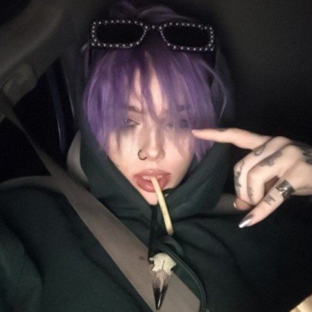  عکس گل نرگس