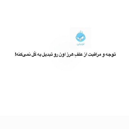  عکس گل نرگس