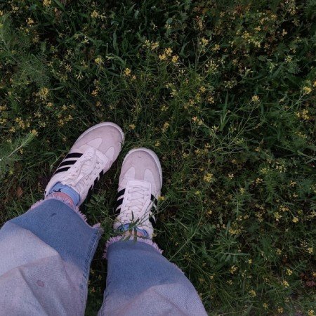  عکس گل نرگس