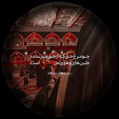  521 عکس بین الحرمین