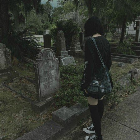  521 عکس بین الحرمین