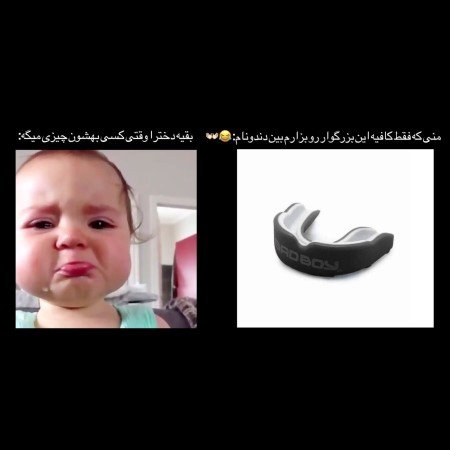  521 عکس بین الحرمین