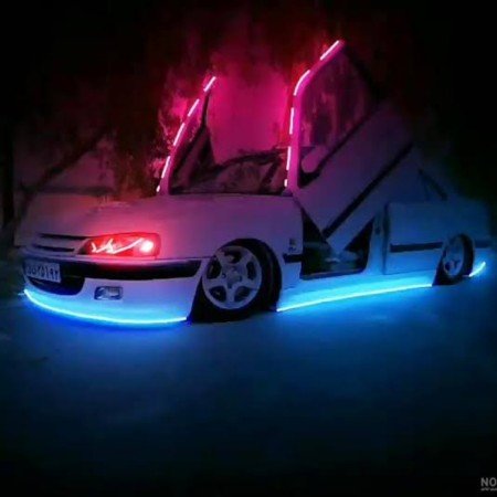  عکس پلنگ صورتی