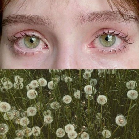  عکس چشم سبز