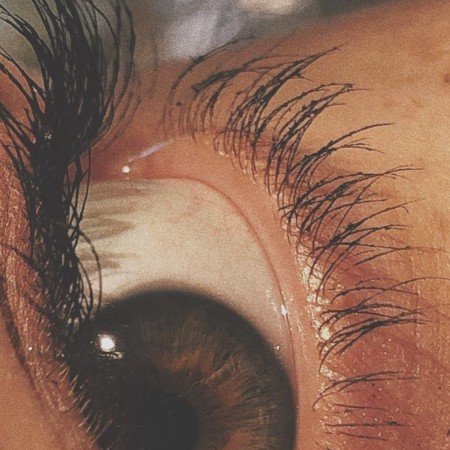  عکس چشم سبز