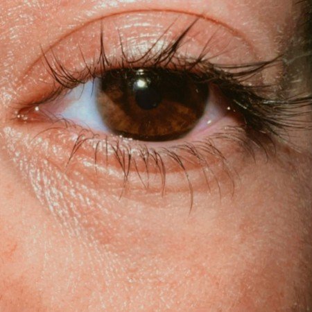  عکس چشم سبز