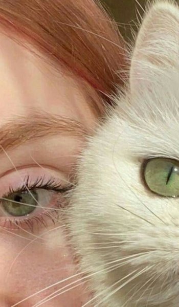  عکس چشم سبز