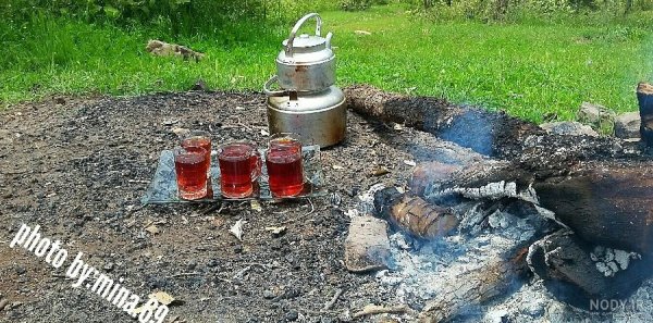  عکس چای آتیشی در شب