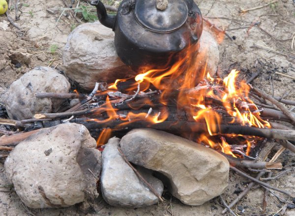  عکس چای آتیشی در شب