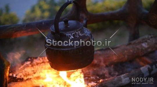  عکس چای آتیشی در طبیعت