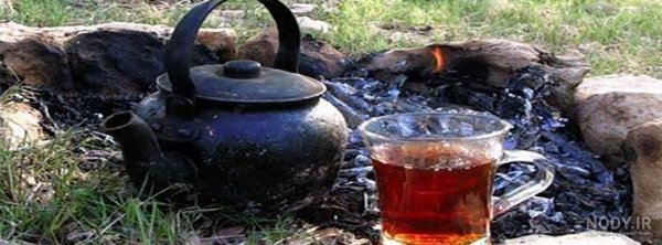 عکس چای آتیشی در طبیعت
