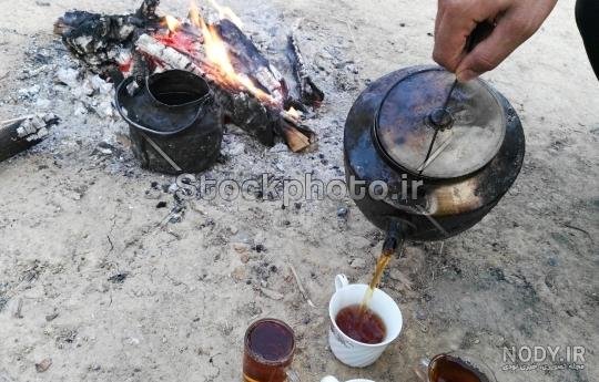  عکس چای آتیشی در طبیعت