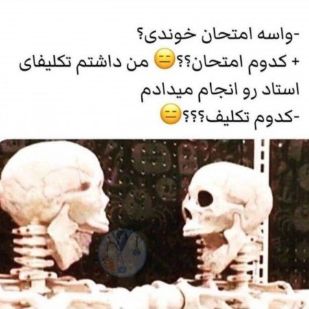  100 عکس خنده دار