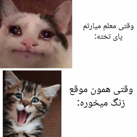  عکسهای خنده دار خفن