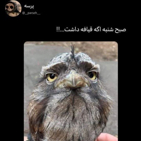  عکس خنده دار برای استوری