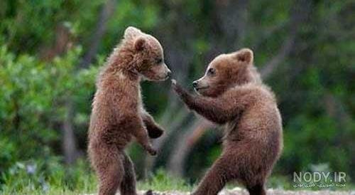  عکس خنده دار دونفره