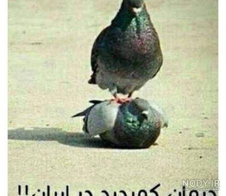  عکس خنده دار دونفره