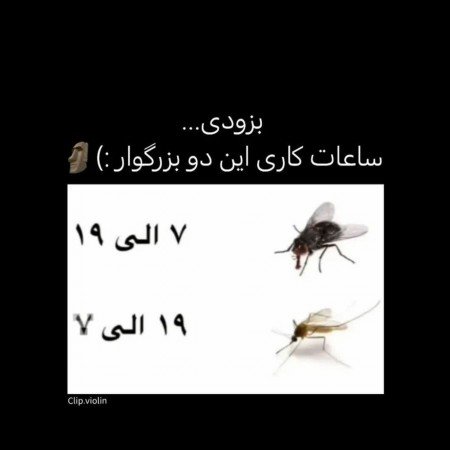  عکس خنده دار زیاد