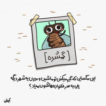  عکس پروفایل خنده دار برای گروه