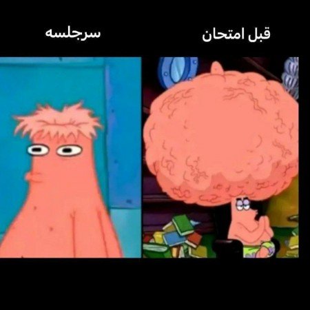  عکس پروفایل خنده دار برای گروه