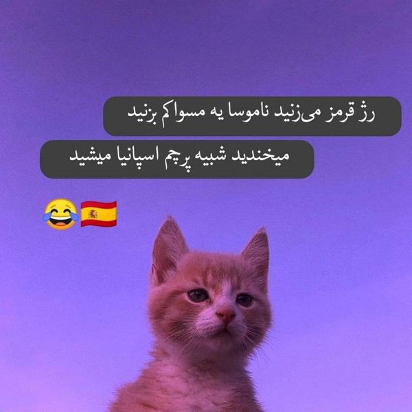 عکس خیلی خنده دار زشت