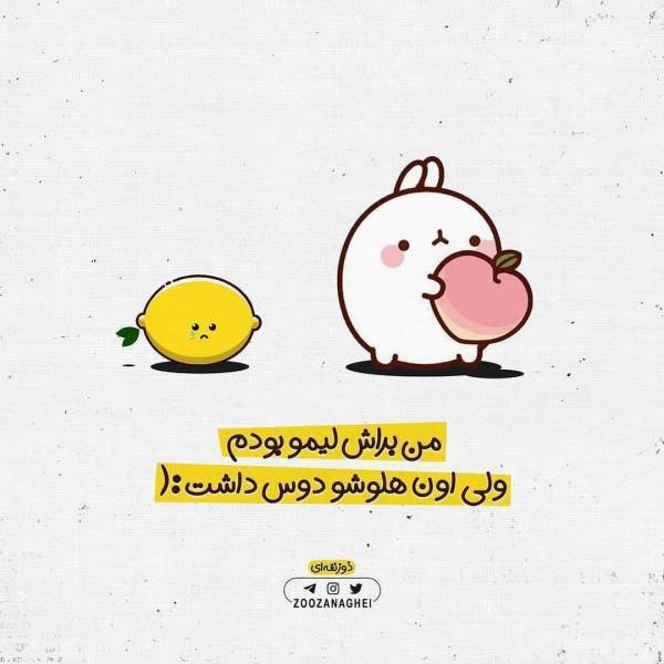  عکس خیلی خنده دار زشت