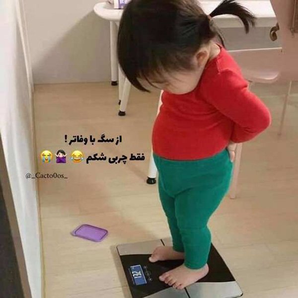 عکس خیلی خنده دار زشت