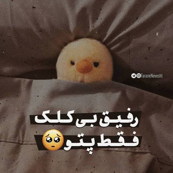  عکس خیلی خنده دار زشت