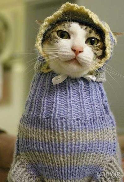  عکس خنده دار حیوانات با لباس