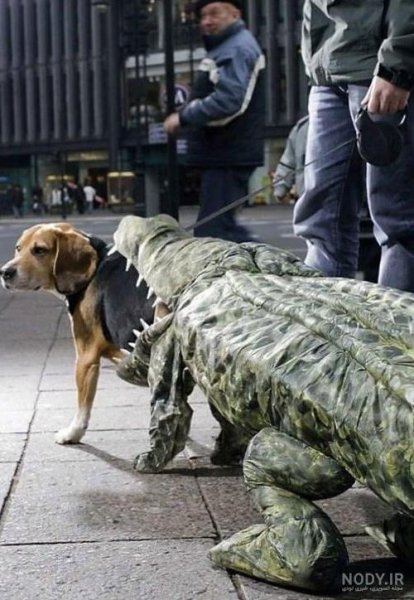  عکس خنده دار حیوانات با لباس