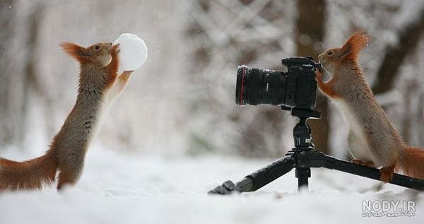  عکس خنده دار حیوانات با لباس