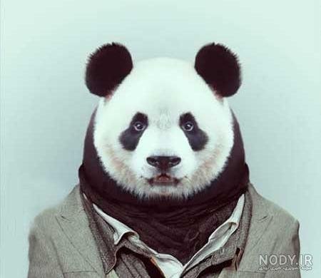  عکس خنده دار حیوانات با لباس