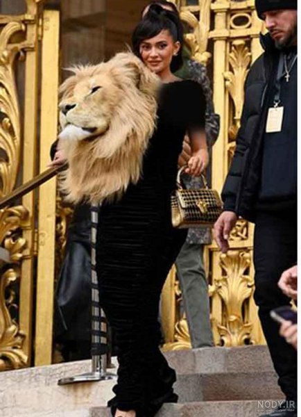  عکس خنده دار حیوانات با کیفیت