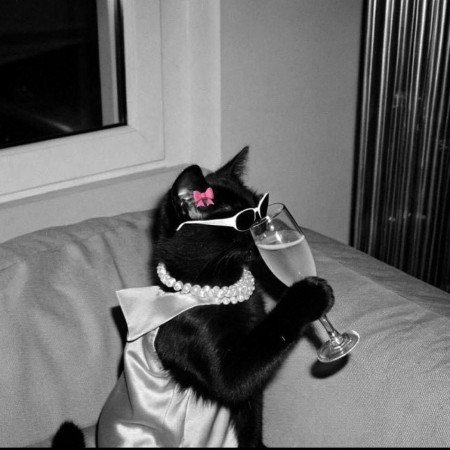  عکس خنده دار حیوانات برای پروفایل