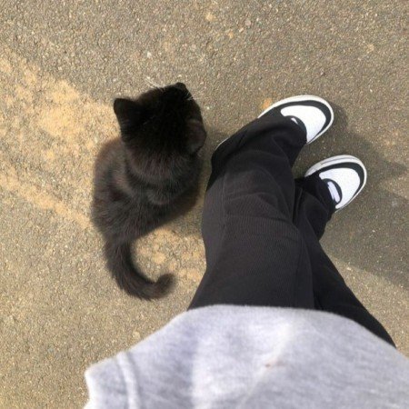  عکس خنده دار حیوانات برای پروفایل