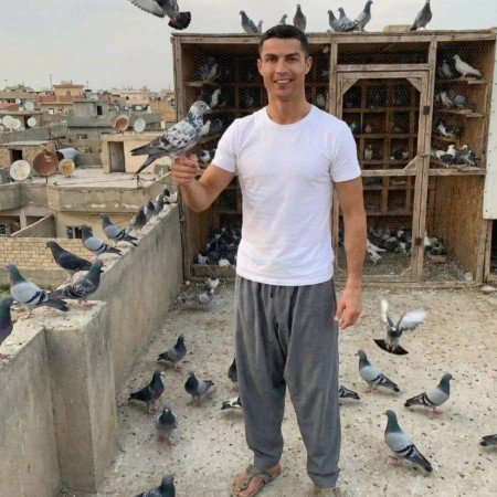  عکس خنده دار حیوانات برای پروفایل