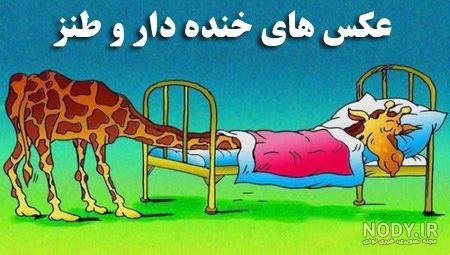  عکس خنده دار حیوانات با متن