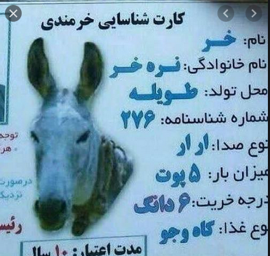  عکس خنده دار حیوانات با متن