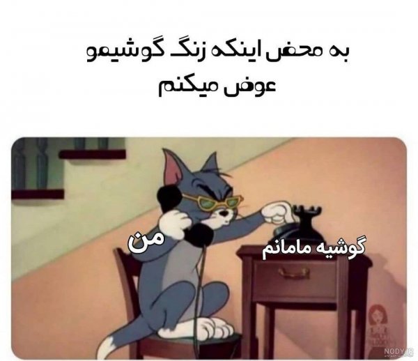  عکس خنده دار حیوانات گربه