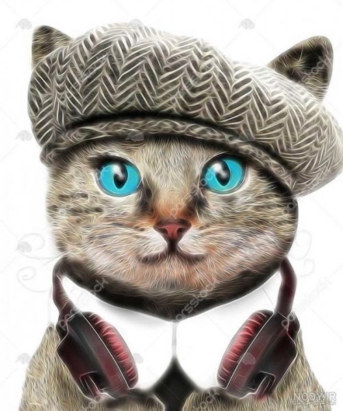  عکس خنده دار حیوانات گربه