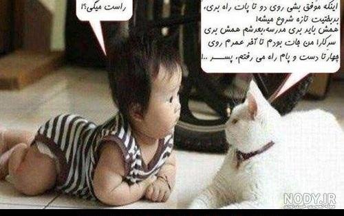  عکس خنده دار حیوانات گربه