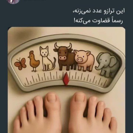  عکس حیوانات اهلی