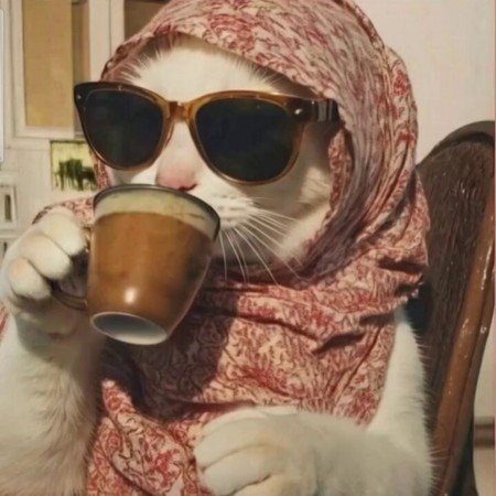  عکس حیوانات اهلی برای کودکان