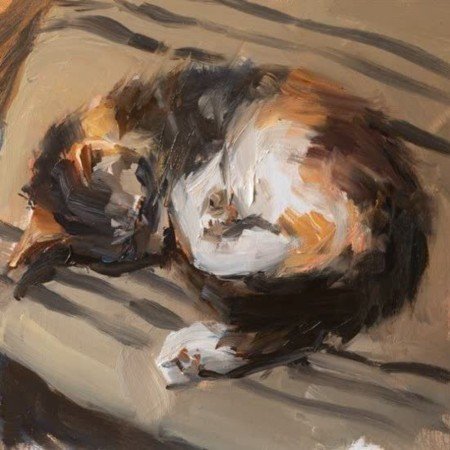  عکس حیوانات اهلی برای کودکان