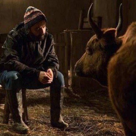  عکس حیوانات اهلی برای کودکان